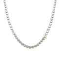 Collar Zayn