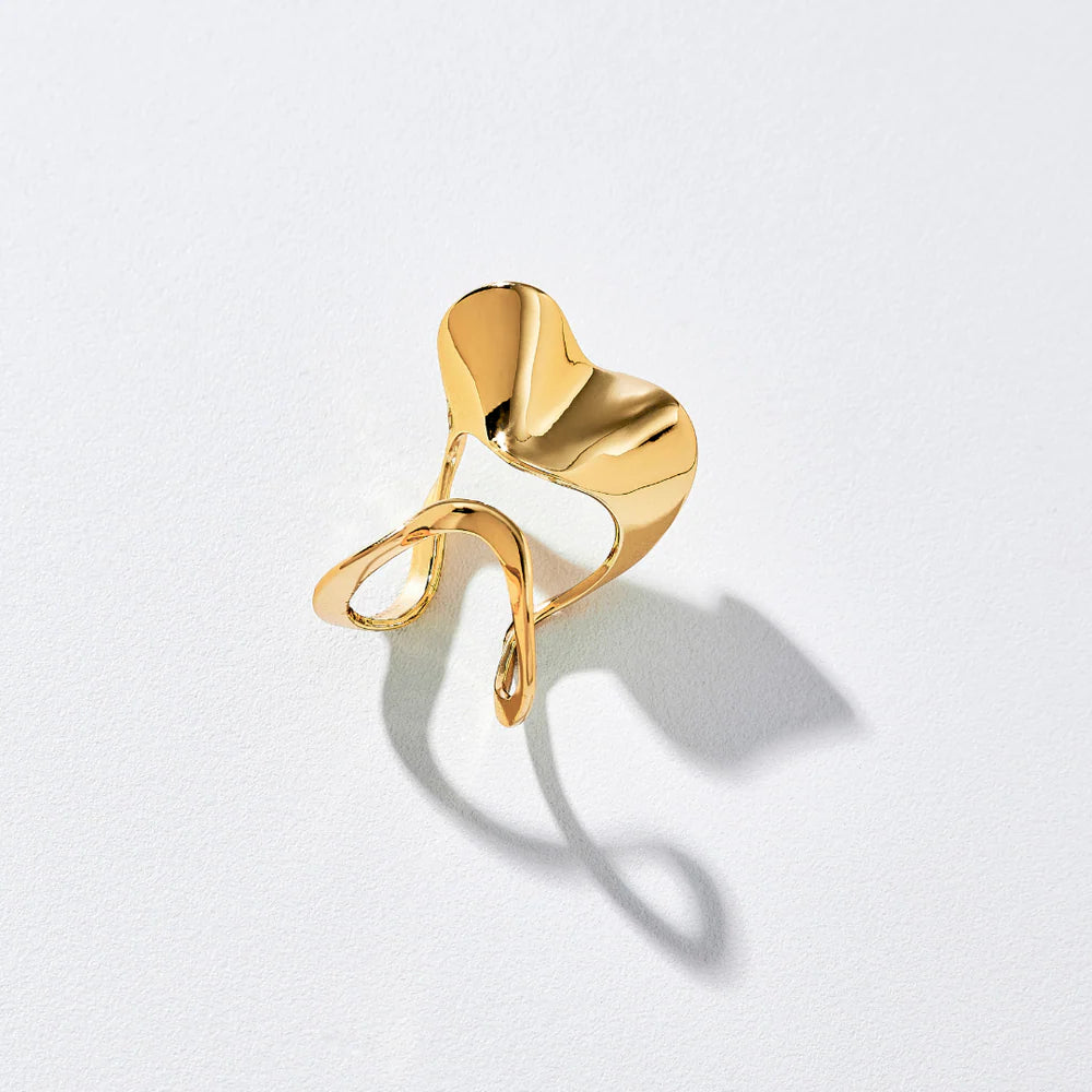 Anillo Lanne