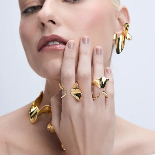 Anillo Lanne