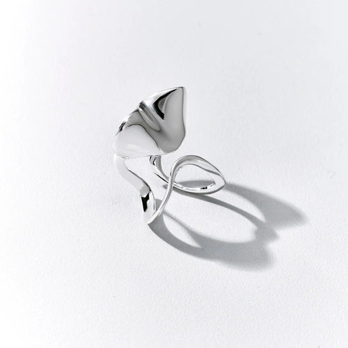 Anillo Lanne