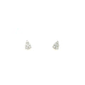 Zarcillos Sparkling Drops