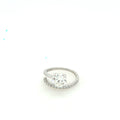 Anillo Milani